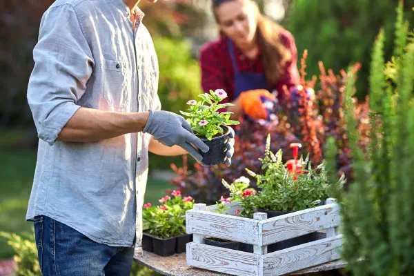 gardening.jpg