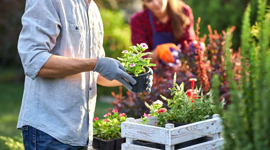 gardening.jpg